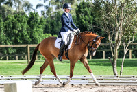 14 April - Sugarloaf Dressage